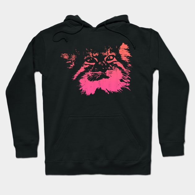 Pallas Cat - Pink Hoodie by Scailaret